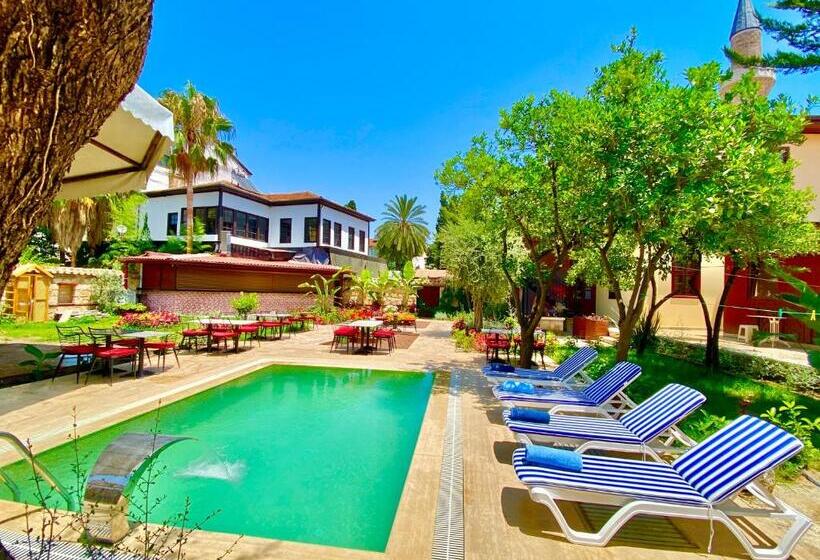 민박 Necip Bey Konağı