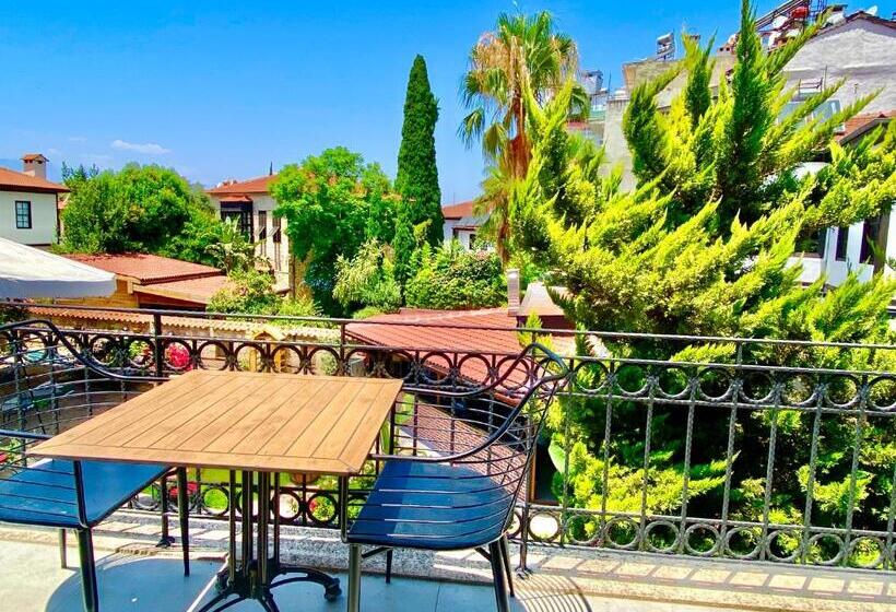 민박 Necip Bey Konağı