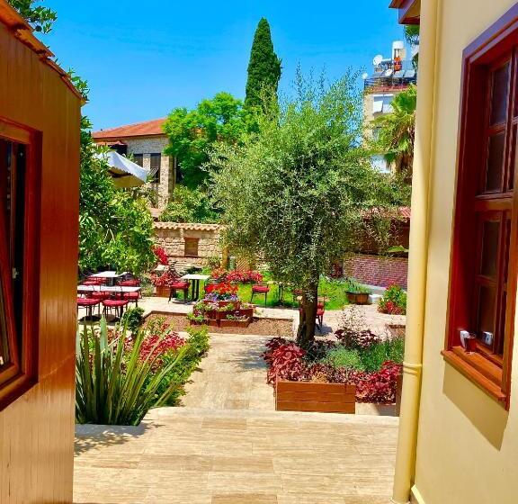 민박 Necip Bey Konağı