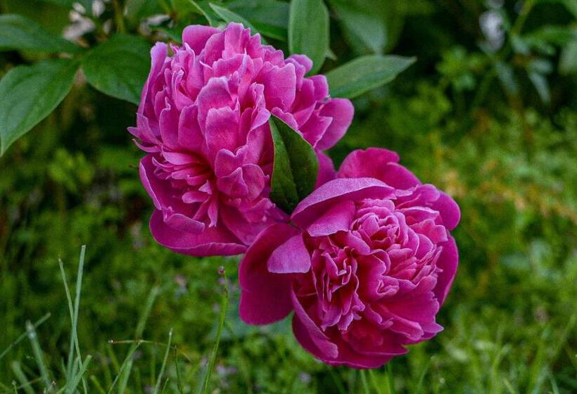 مبيت وإفطار The Waldoboro Inn Room 3