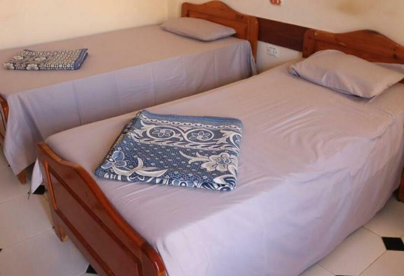 בית מלון כפרי قريه جرين لاند العريش