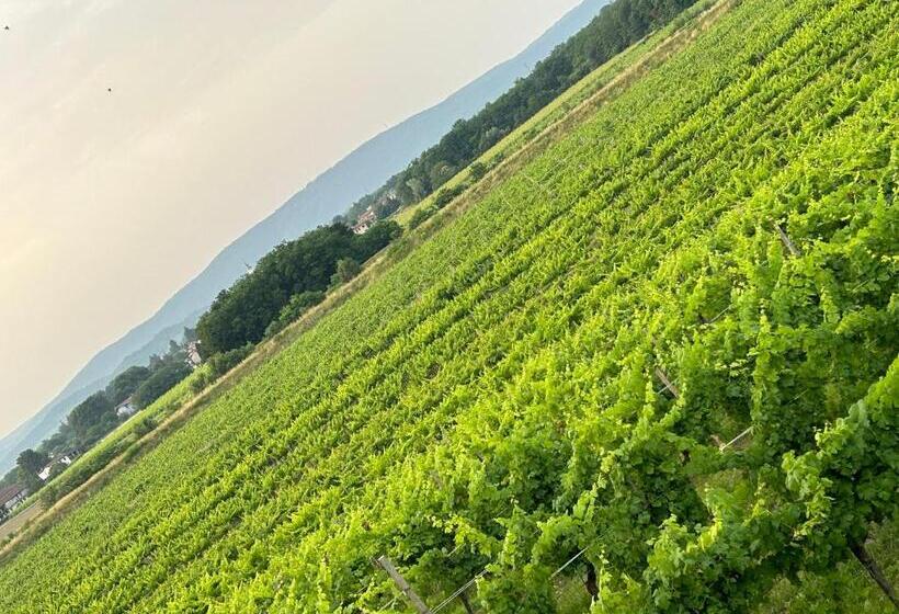 호텔 Cruna Di Subida Wine Country House