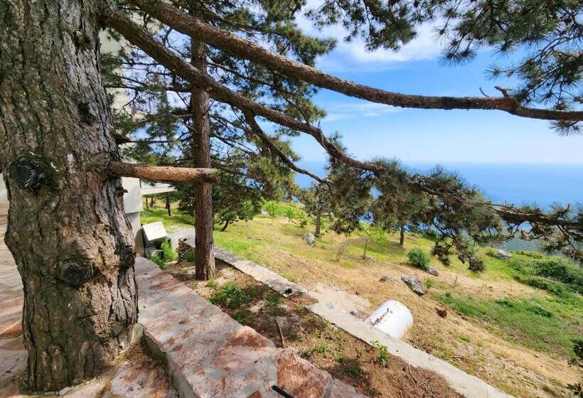 酒店 Llogora Dervishaliu