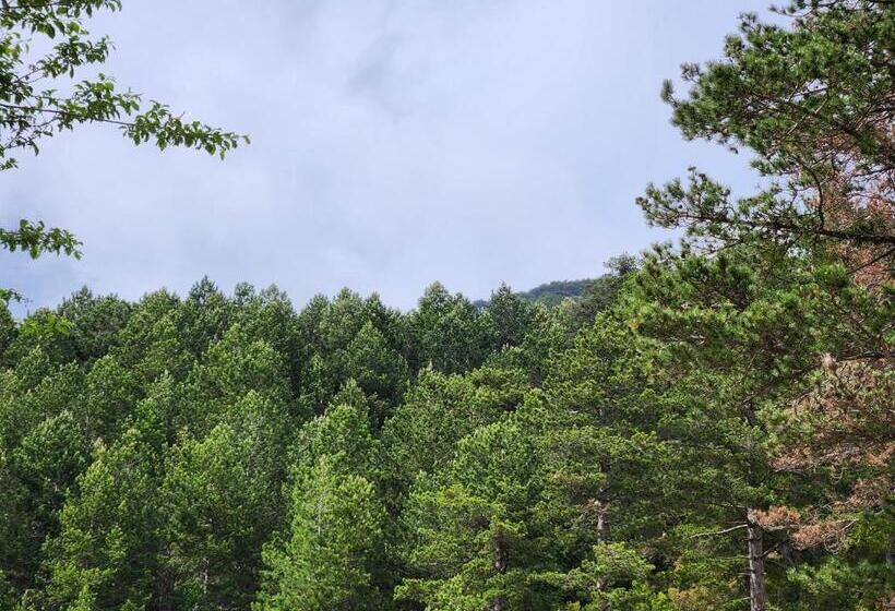 酒店 Llogora Dervishaliu