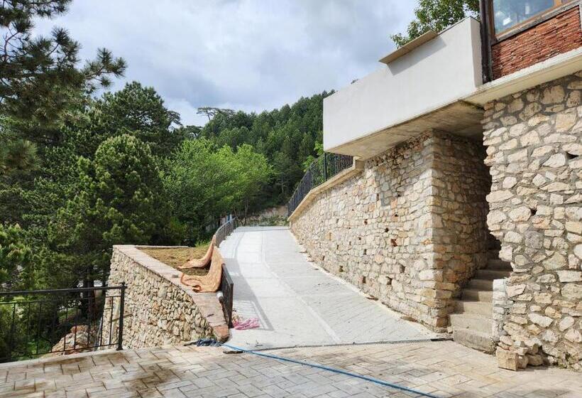 酒店 Llogora Dervishaliu