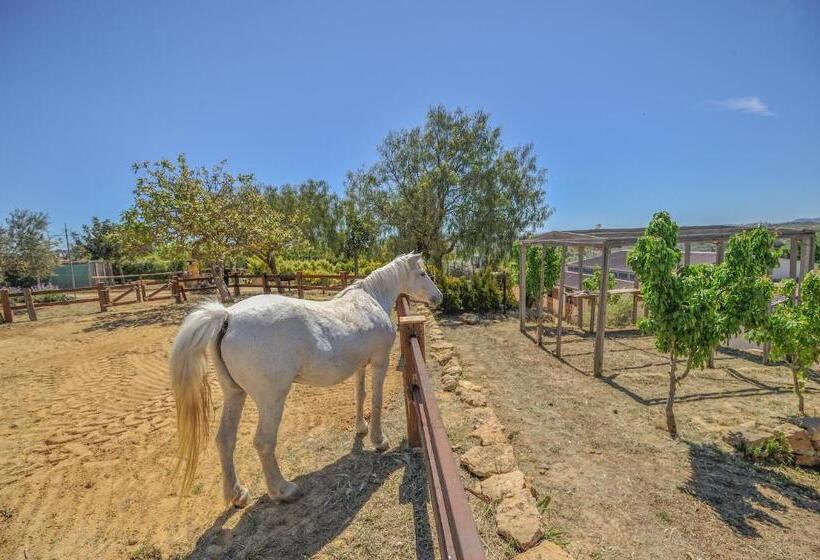 酒店 Luna Agriturismo La Fattoria Di San Francesco