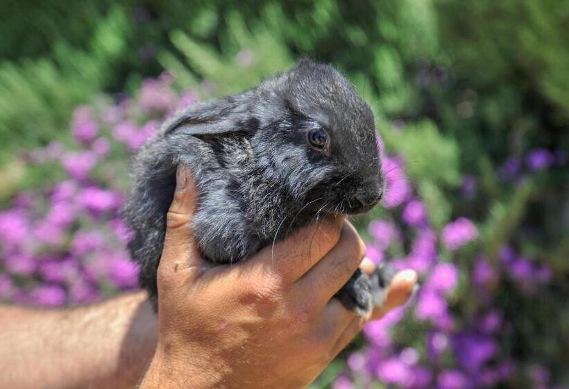 酒店 Luna Agriturismo La Fattoria Di San Francesco