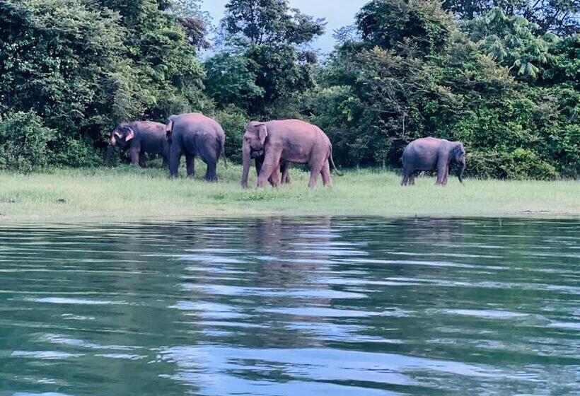 ホテル White Win Villa