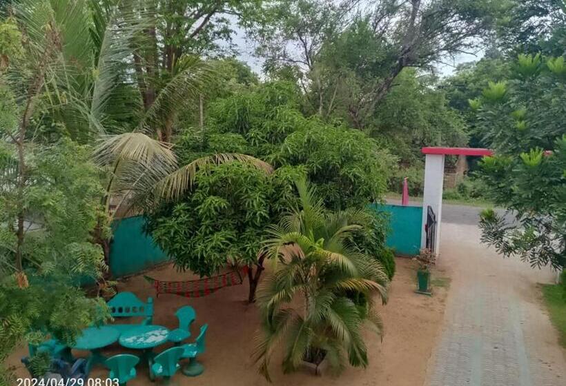 ホテル White Win Villa