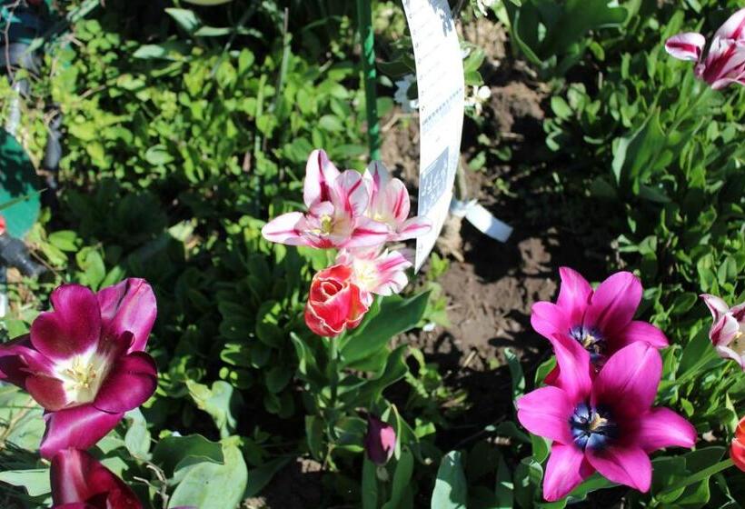 펜션 къща за гости света марина