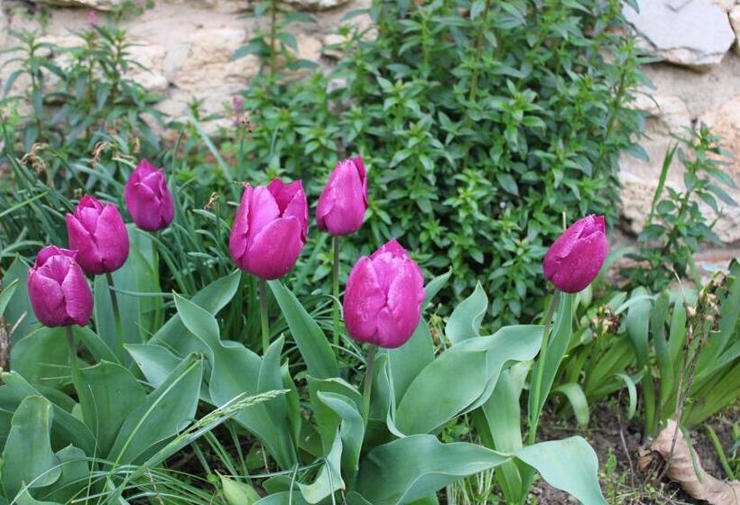 펜션 къща за гости света марина