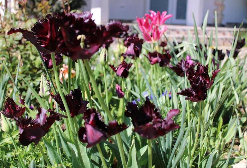 펜션 къща за гости света марина