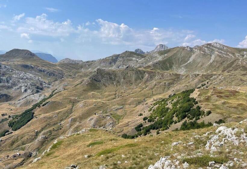 Пансион Turi Selcë