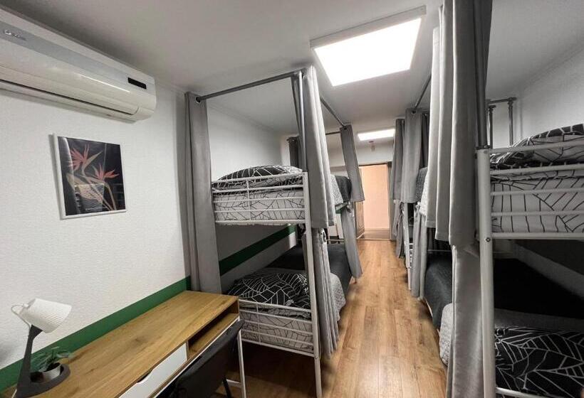 Hostel хостел житомир Green House