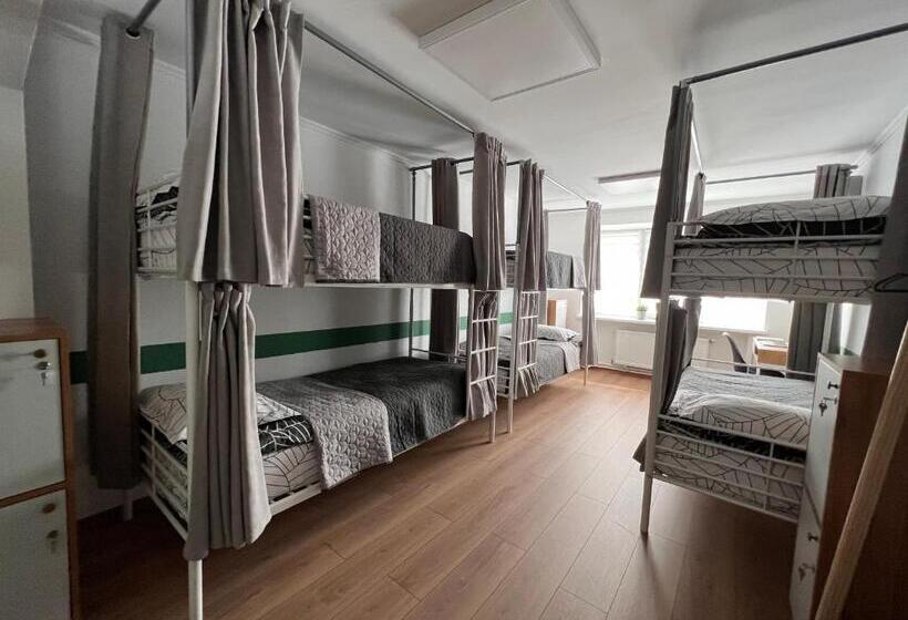 Hostel хостел житомир Green House