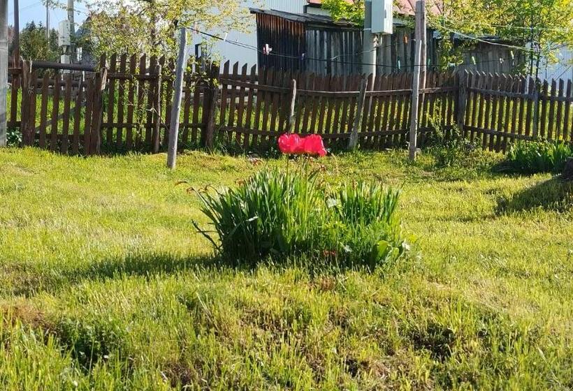 هاستل Central Rustic House