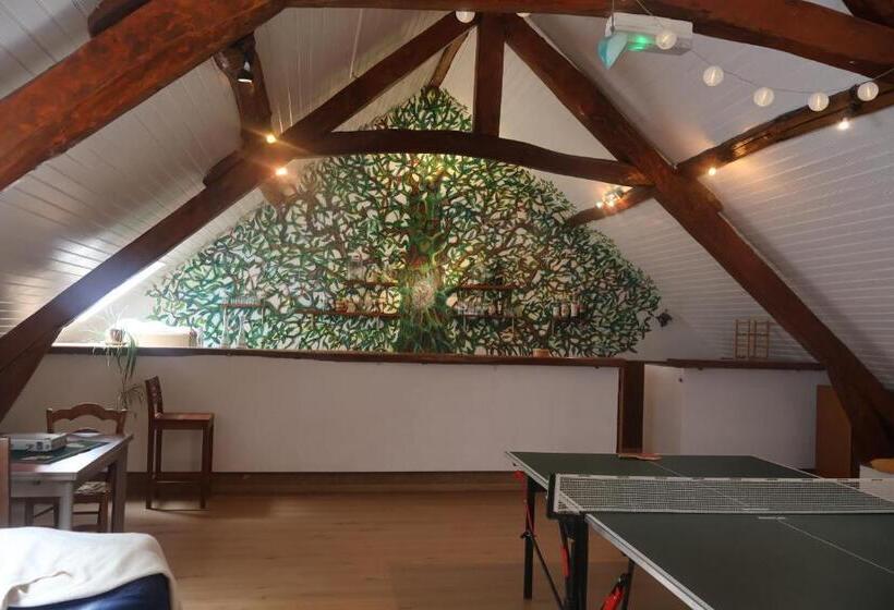 旅馆 Solfé Backpacker