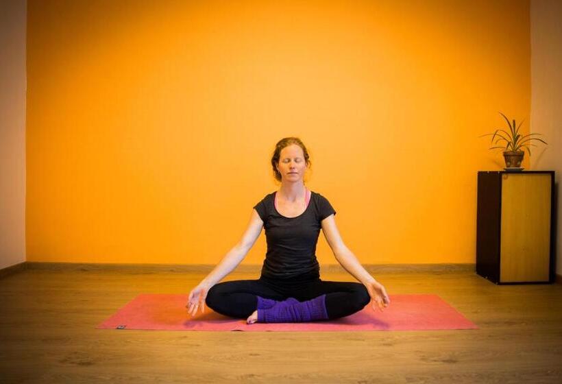 旅馆 Solfé Backpacker