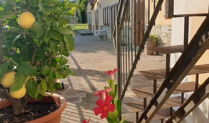 B&b Il Mandorlo