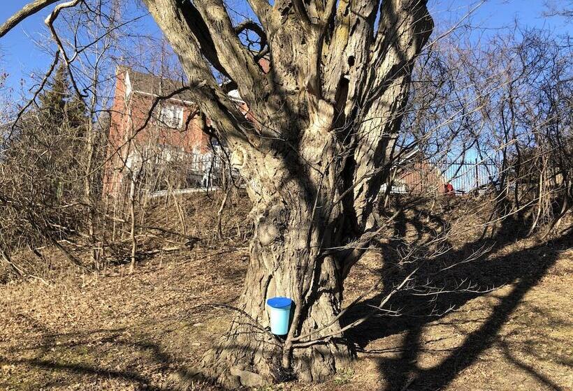 ベッドアンドブレックファースト Caledon Manor And Country Inn