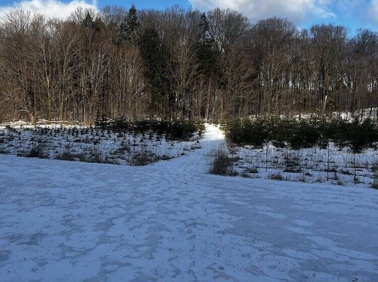 ベッドアンドブレックファースト Caledon Manor And Country Inn