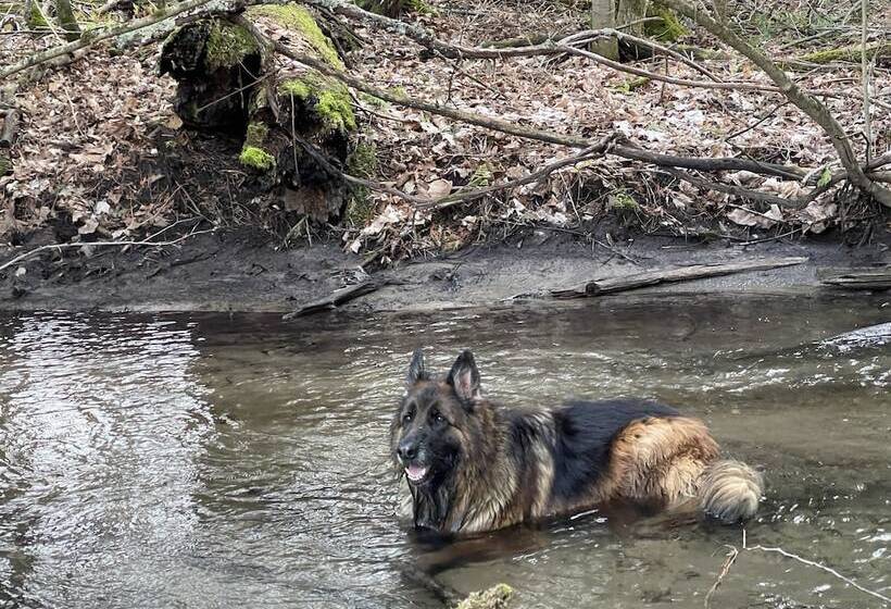 ベッドアンドブレックファースト Caledon Manor And Country Inn