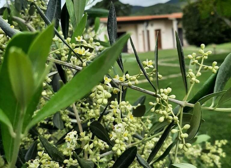 هتل Agriturismovalbona