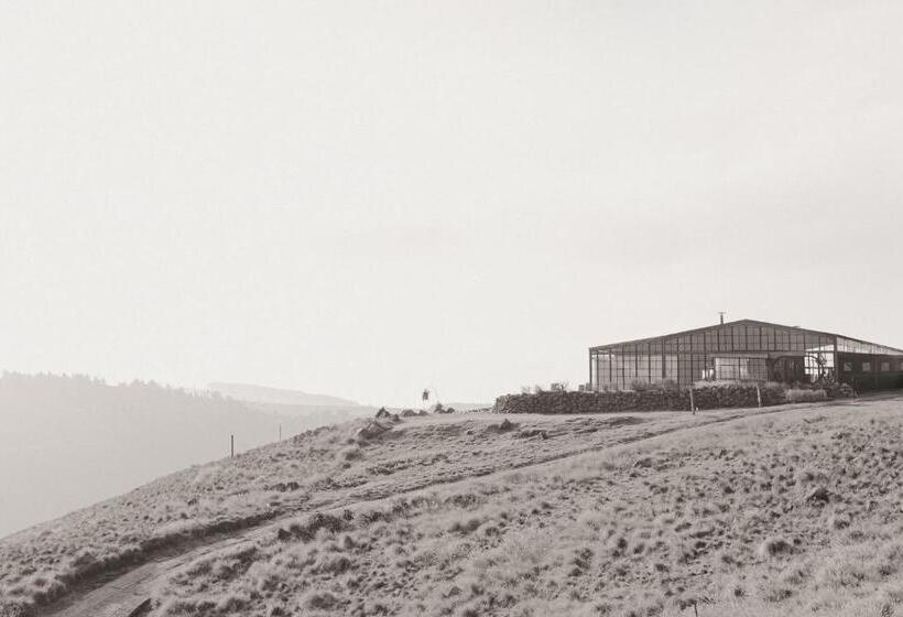 בית מלון כפרי Infinity At Enfin Estate