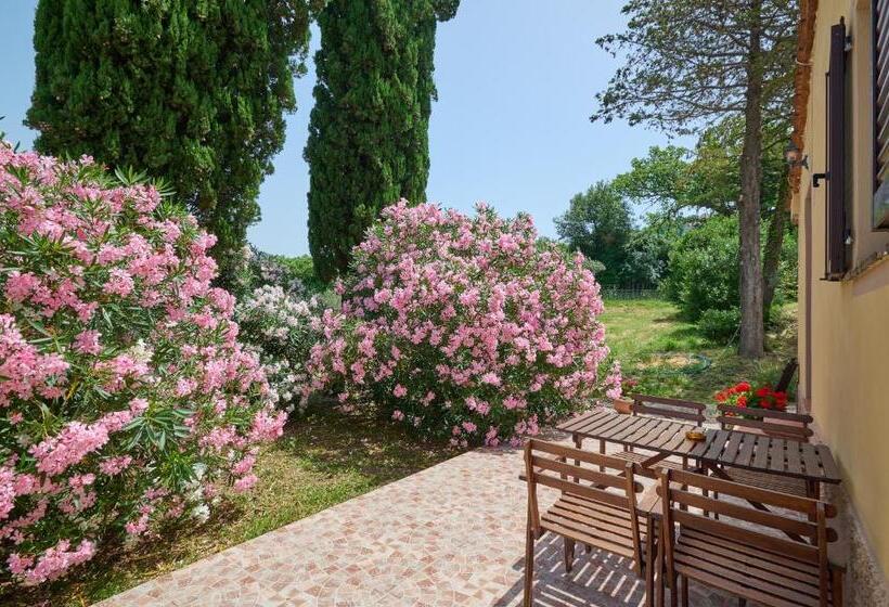 هتل Podere Scoldasu   Nettuno