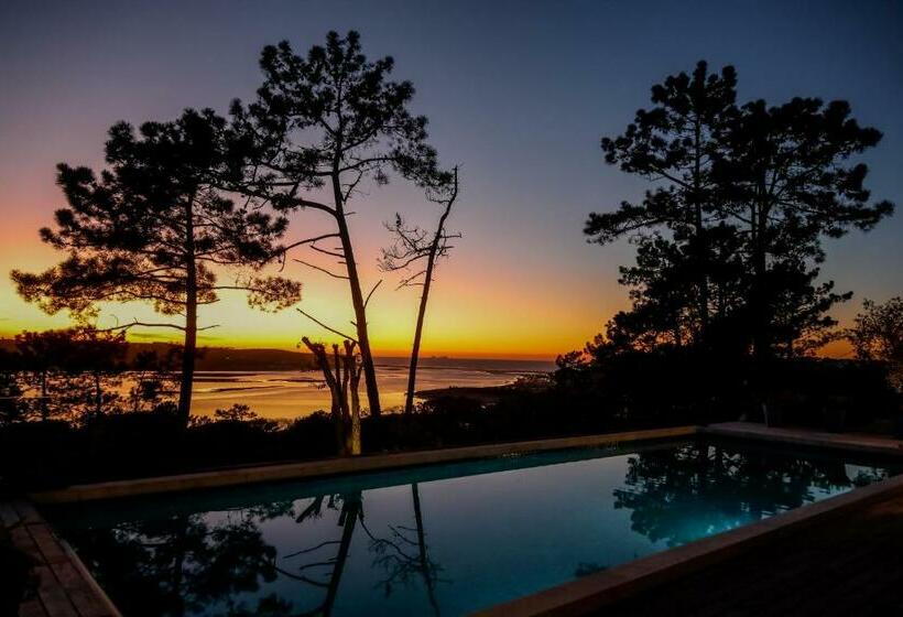 酒店 Villa Paladina