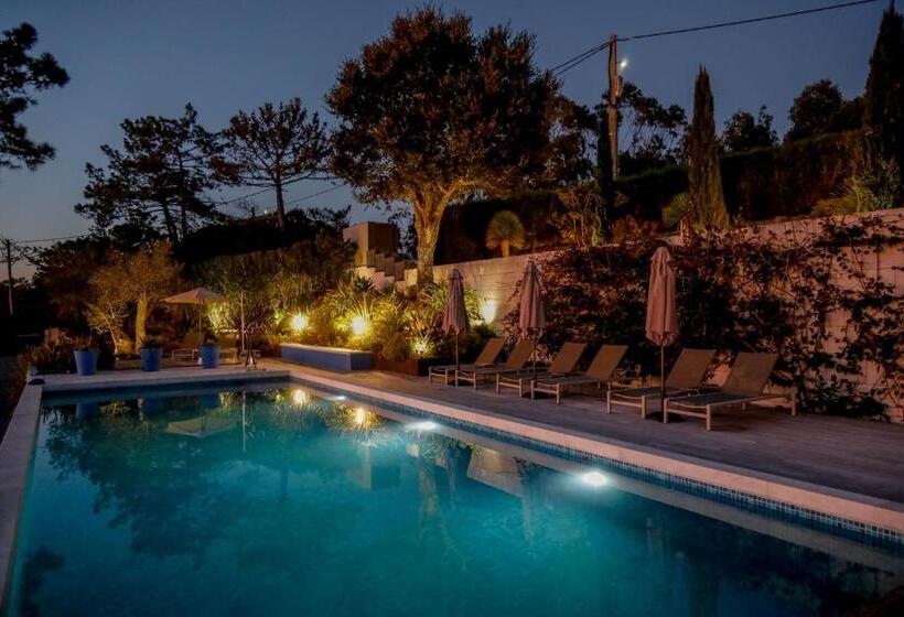 酒店 Villa Paladina