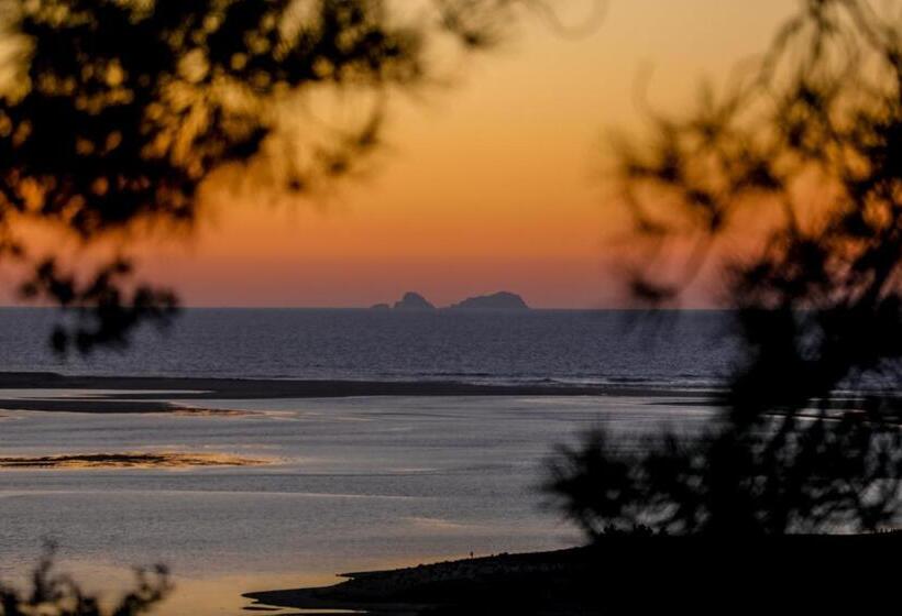 酒店 Villa Paladina