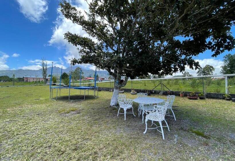 膳宿费 Cabañas Guadalupe Volcán