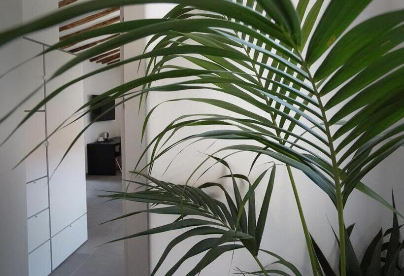 پانسیون New Moon Rooms