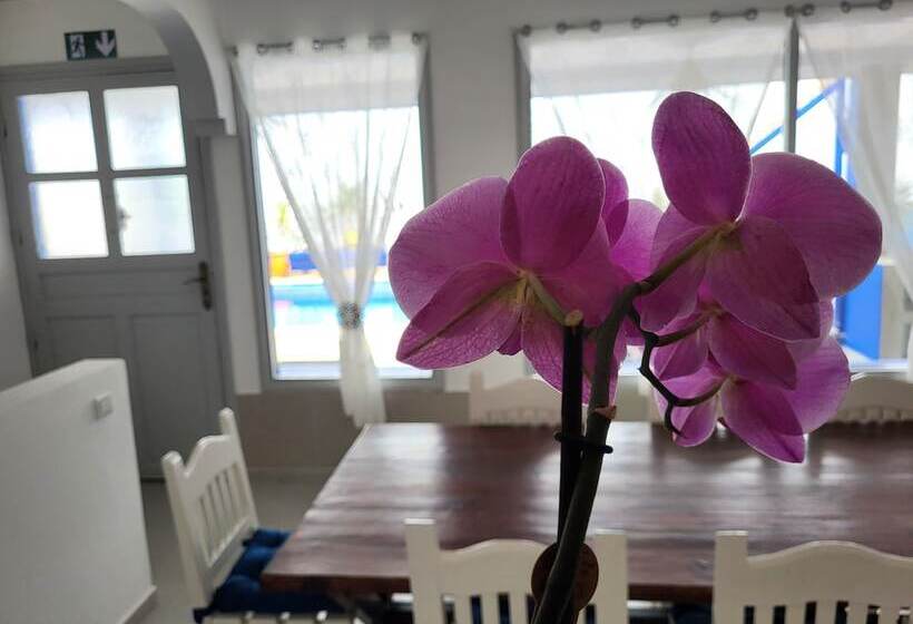 پانسیون Riad Ghazal