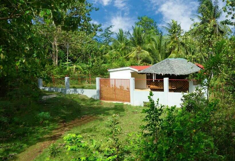 ペンション Rose Apartments