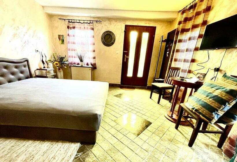 پانسیون Vas Centar