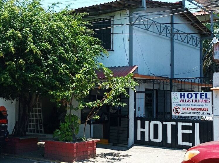 بنسيون Villa Tulipanes