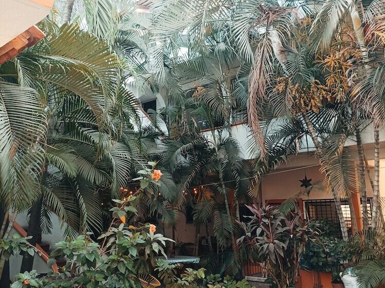 بنسيون Villa Tulipanes