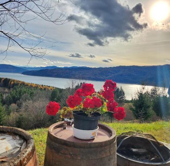 Pensiunea Sara Pe Deal