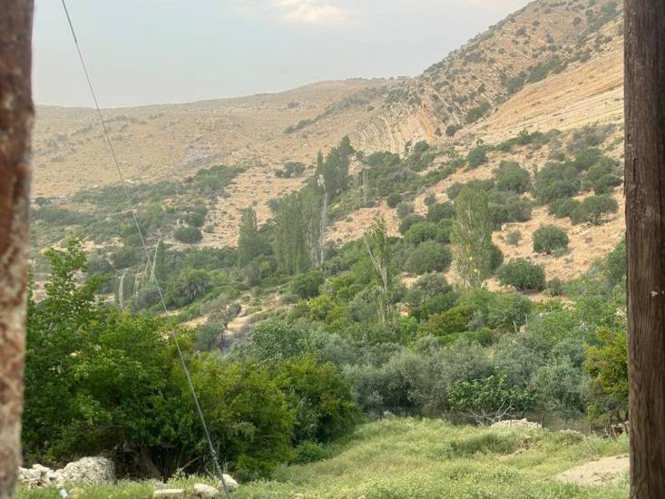 هاستل Dana Historic Village