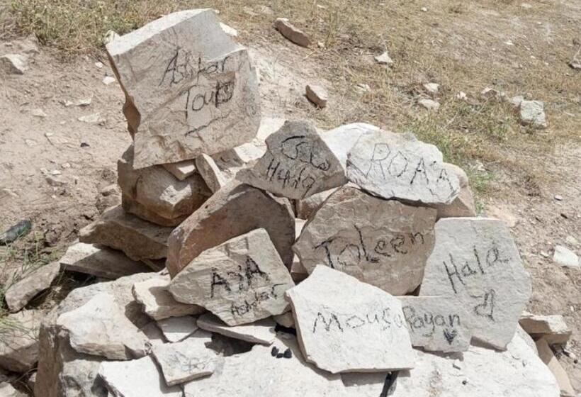 هاستل Dana Historic Village