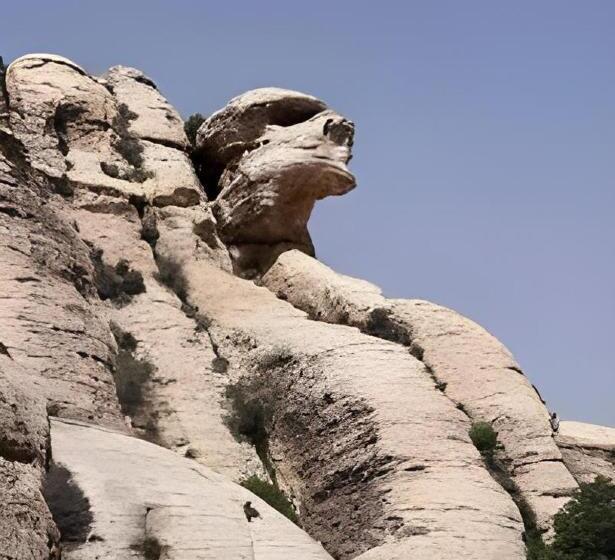 هاستل Dana Historic Village