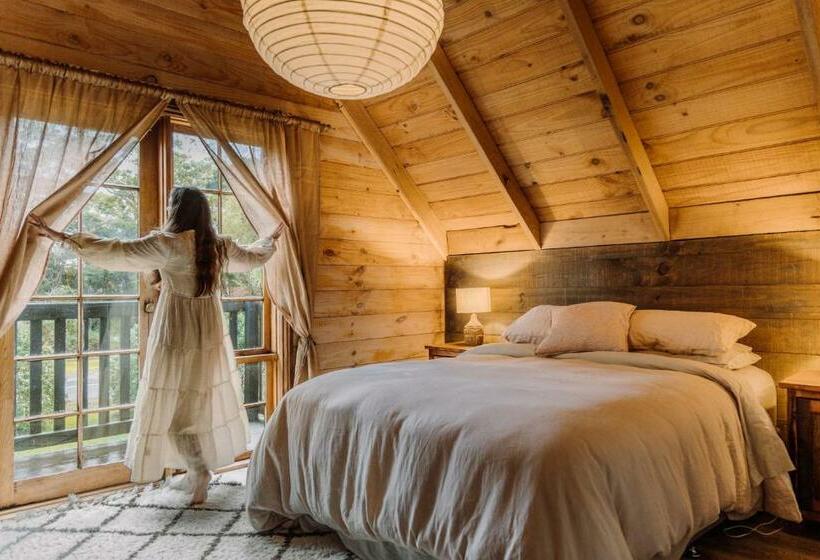 هاستل The Quarters