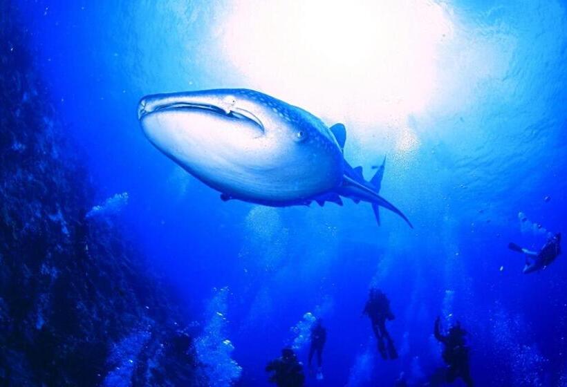 هاستل Tulomir #c 뚤로미르 행복한 2인실