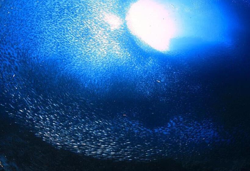 هاستل Tulomir #c 뚤로미르 행복한 2인실