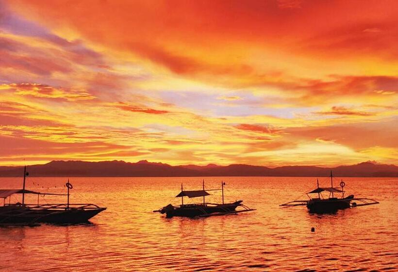 هاستل Tulomir #c 뚤로미르 행복한 2인실