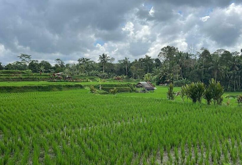 مبيت وإفطار Mahottama Wellness And Retreat