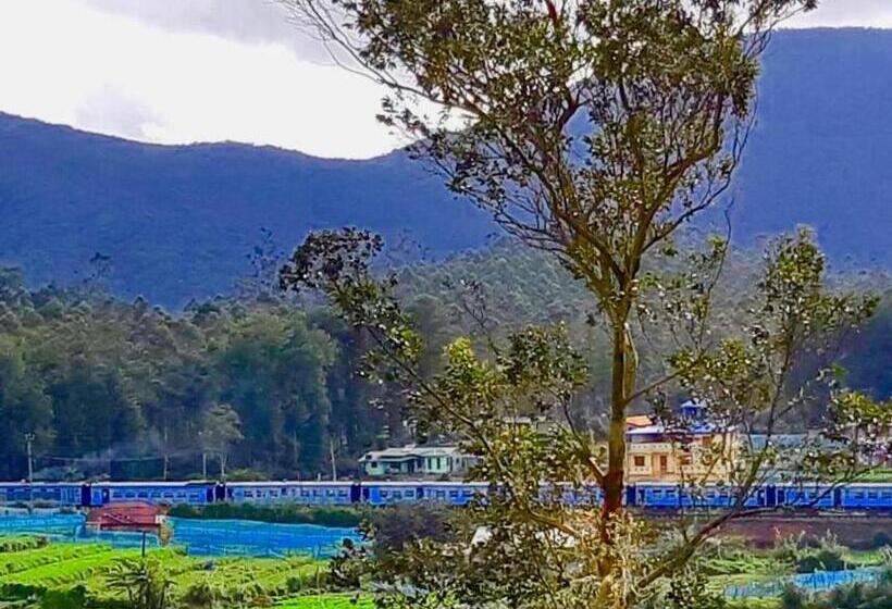 Bed and Breakfast Shadow Mask Bungalow