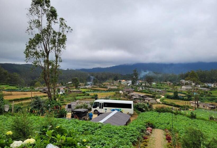 Bed and Breakfast Shadow Mask Bungalow